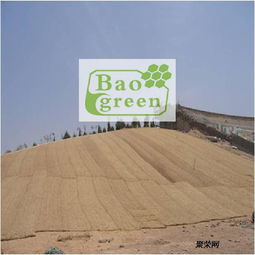 護坡植被墊植草毯廠家現(xiàn)貨直銷 生態(tài)建材銷售新選擇