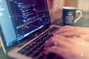 自助建站五步走，輕松掌握技術開發核心